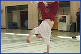 Programm in der Sporthalle am Sonntag, 01. Juni 2008