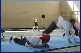 Programm in der Sporthalle am Sonntag, 01. Juni 2008